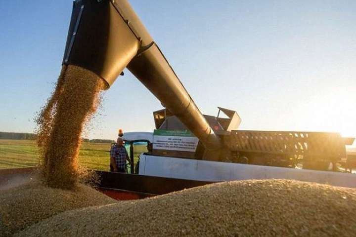 Україна вперше за 12 років поставить до Саудівської Аравії пшеницю