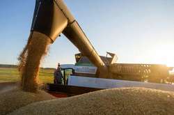 Україна вперше за 12 років поставить до Саудівської Аравії пшеницю