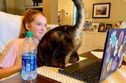 Эти животные показали всем свою негодяйскую сторону: курьезные фото