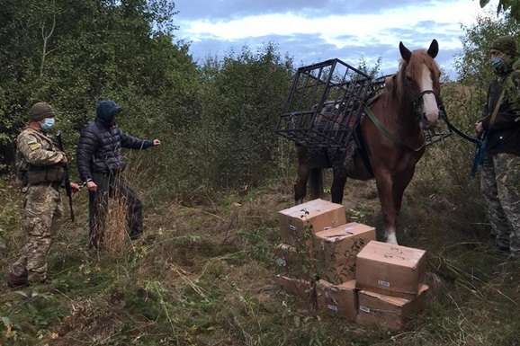 Українець на коні намагався переправити тютюн з Росії 