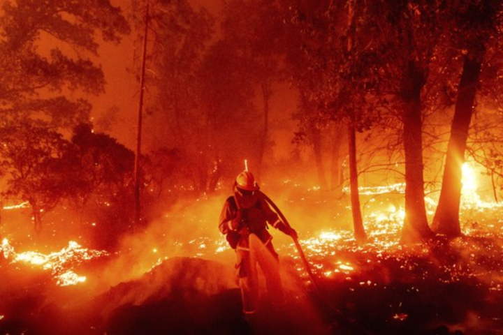 У Каліфорнії вигоріло вже майже 900 тисяч гектарів лісів