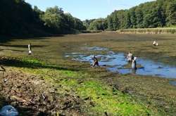 Через аварію відбувається зниження рівня води в озері Гниле каскаду Дідорівських ставків
