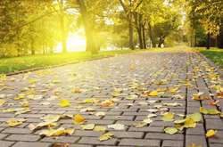 В Україні буде тепло та сонячно