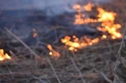 На Донбассе враг стреляет трассирующими пулями, пытаясь вызвать пожар