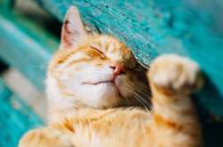 Багато сонця та жодних опадів. Якою буде погода у суботу 