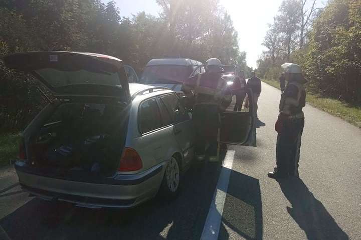 На дорозі на Київщині BMW зіткнувся з лосем: загинула пасажирка авто (фото)