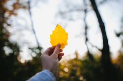 У суботу, 12 вересня, буде ясно і тепло