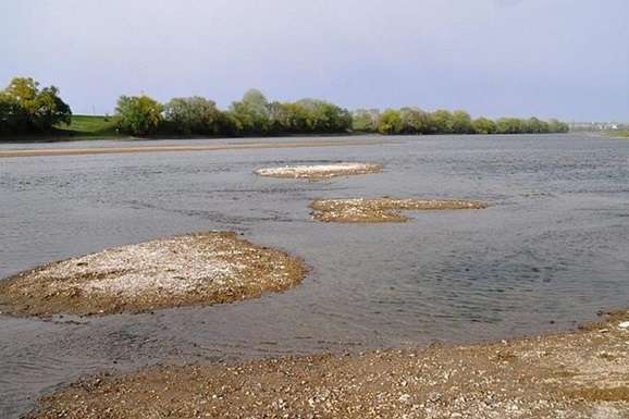 Через посуху за останні 30 років в Україні зникло 10 тисяч річок