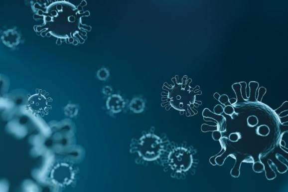 Вчені показали фото, як коронавірус вбиває бронхи