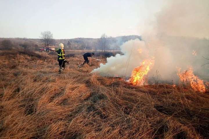 В Україні оголошено найвищий рівень пожежної небезпеки, – ДСНС