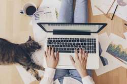 Работа на дому: как уменьшить электропотребление