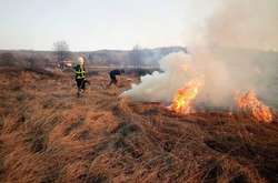 В Україні оголошено найвищий рівень пожежної небезпеки