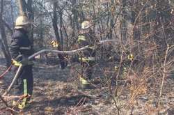 На Вінниччині продовжує палати сухостій