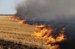 Державна екологічна інспекція протягом цього року склала 765 протоколів за фактами самовільного випалювання рослинності