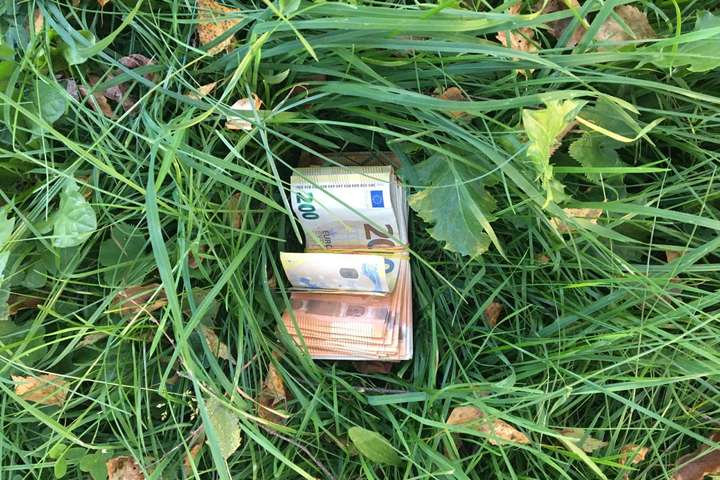 Понад €9000 знайшли прикордонники у траві біля кордону з Румунією
