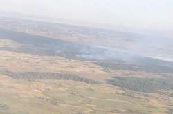 На Херсонщині масштабна лісова пожежа: до ліквідації залучені танки та авіація (фото, відео)