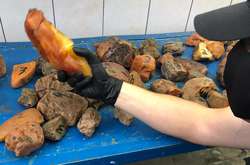 Буковинець намагався вивезти з України бурштину на пів мільйона гривень (фото, відео)