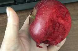 Оптическая иллюзия: «кровавое» яблоко ввело в ступор пользователей сети