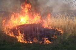 В Україні оголошено надзвичайний рівень пожежної небезпеки