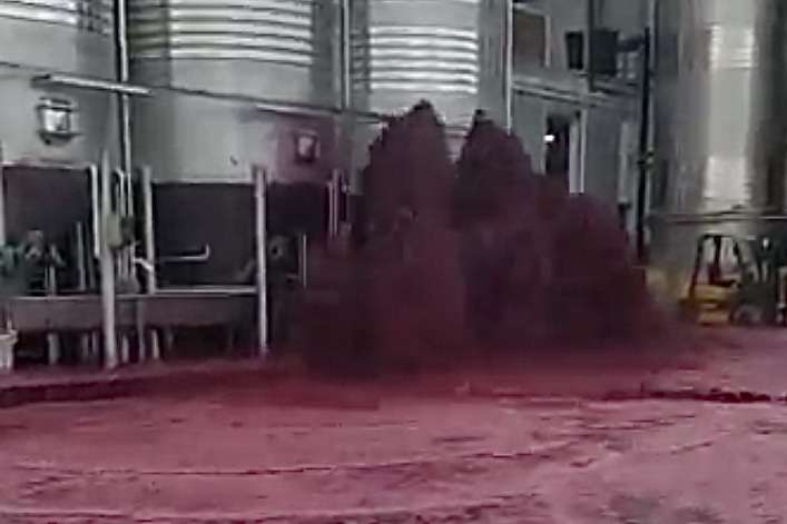 В Іспанії завод затопило червоним вином: відео