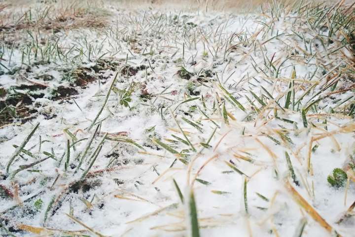 У Карпатах зафіксовано перший мокрий сніг