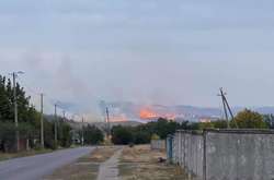 У Краматорську сталася масштабна лісова пожежа