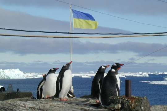 Стартував конкурс з відбору кандидатів на 26-ту українську антарктичну експедицію