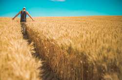 Закон про ринок землі був прийнятий Верховною Радою 31 березня 