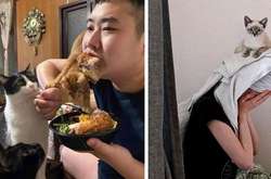 Когда наглые коты доказали, что личное пространство хозяев для них пустой звук