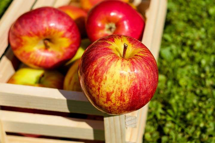 В Україні ціни на яблука досягли максимуму за останні три роки