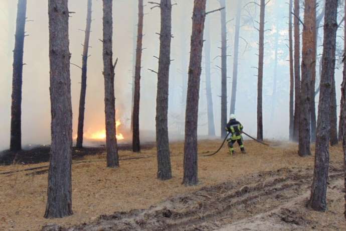 На Луганщині знову горить ліс: рятувальники евакуйовують людей