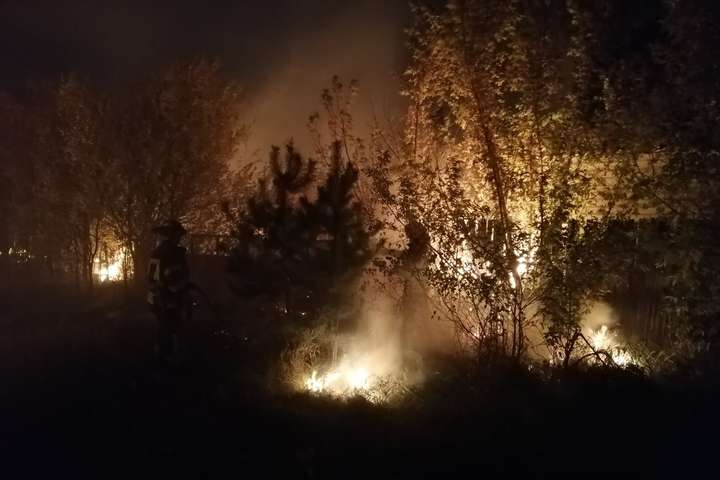 Лісові пожежі на Луганщині: рятувальники гасять 140 осередків