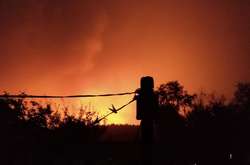 Пожежі на Луганщині: вигоріло вже майже 9000 гектарів лісу