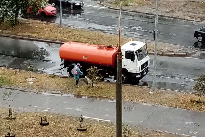 У Києві комунальники поливають дерева під час дощу: зеленбудівці назвали причину