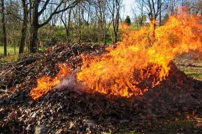 Влада попередила киян: за спалювання листя – величезний штраф
