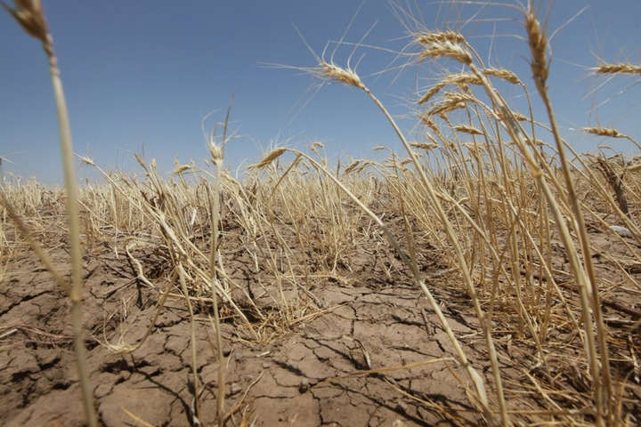 Посуха в Україні: Зеленський доручив уряду та РНБО зайнятися екобезпекою