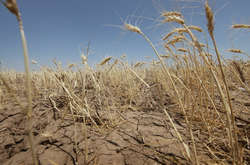 Посуха в Україні: Зеленський доручив уряду та РНБО зайнятися екобезпекою