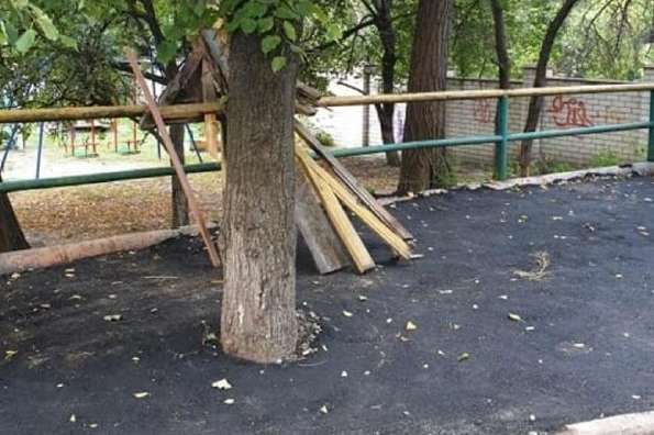 На Нивках комунальники замурували дерево в асфальт (фото)