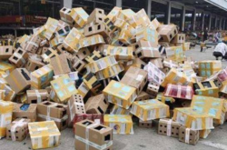 Тварин купили як домашніх улюбленців через інтернет, проте їх залишили на складі