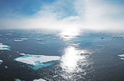 Вчені підтвердили катастрофічну ситуацію з океанами на Землі