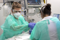 У світі кількість хворих на коронавірус наближається до 36 млн 