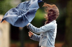  Мешканцям міста радять уникати перебування поблизу великих дерев під час сильного вітру 
  