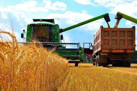 В Україні зібрано понад 70% зерна нового врожаю