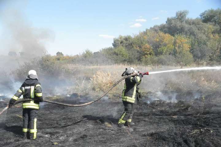 На Луганщині ліквідовано найбільший осередок пожежі