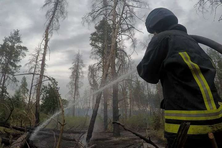 Пожежі на Луганщині: рятувальникам залишилось загасити один осередок займання 