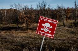 Шукали корову: на окупованій Луганщині підірвалися жінка з дитиною