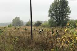 До пошуку чоловіка залучені поліція, кінологи, військовослужбовці Нацгвардії