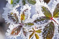 Синоптик рассказал когда в Украину придут заморозки и мокрый снег