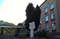 Во Львове от коронавируса умерла учительница. Лицей уходит на каникулы