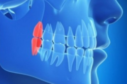 За останні понад два сторіччя фізіологія людини змінювалась найшвидше в історії еволюції